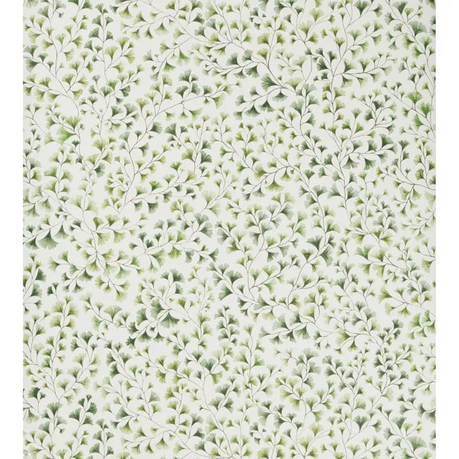 Maidenhair