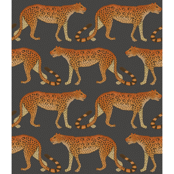 Leopard Walk