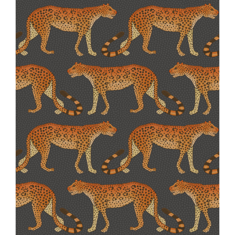 Leopard Walk