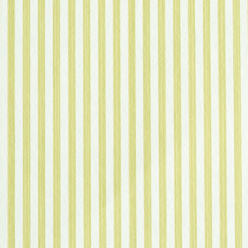 Edwin Stripe Narrow