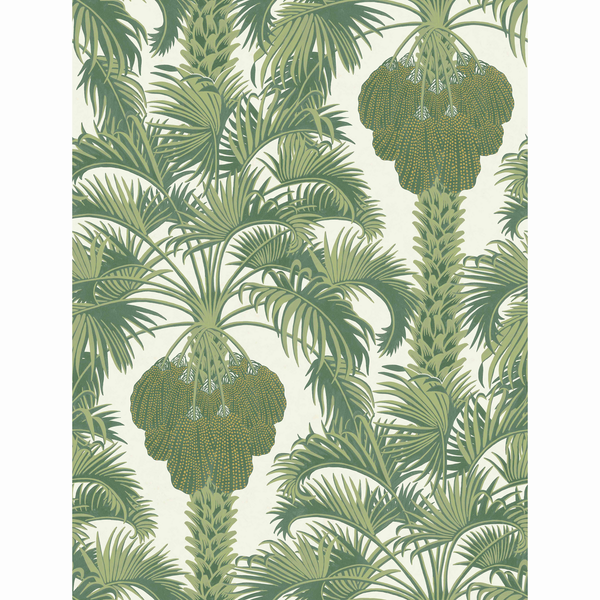 Hollywood Palm