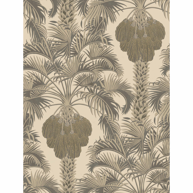 Hollywood Palm
