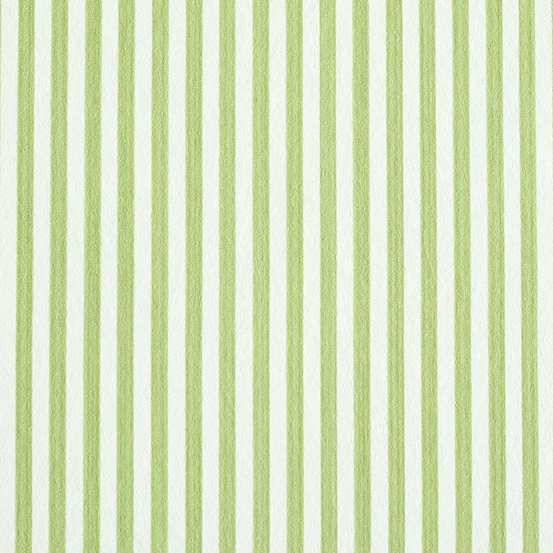Edwin Stripe Narrow