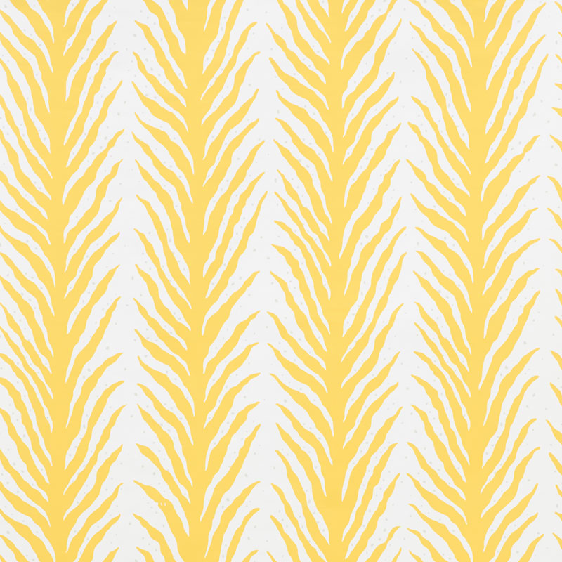 Creeping Fern