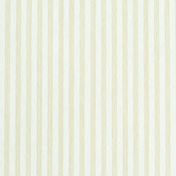 Edwin Stripe Narrow
