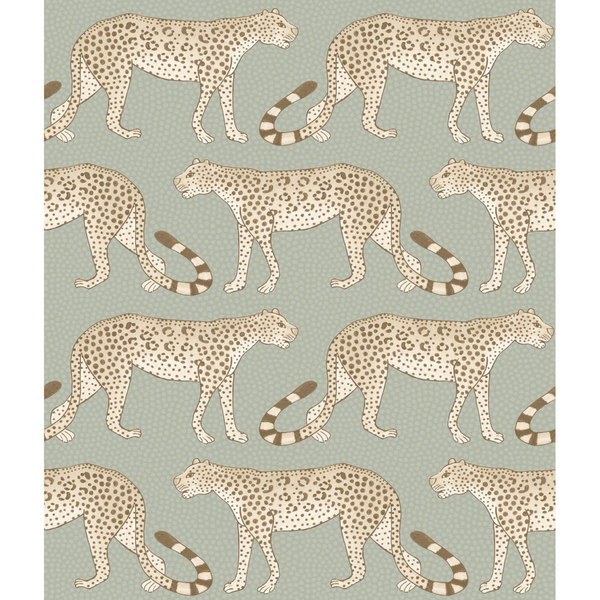 Leopard Walk