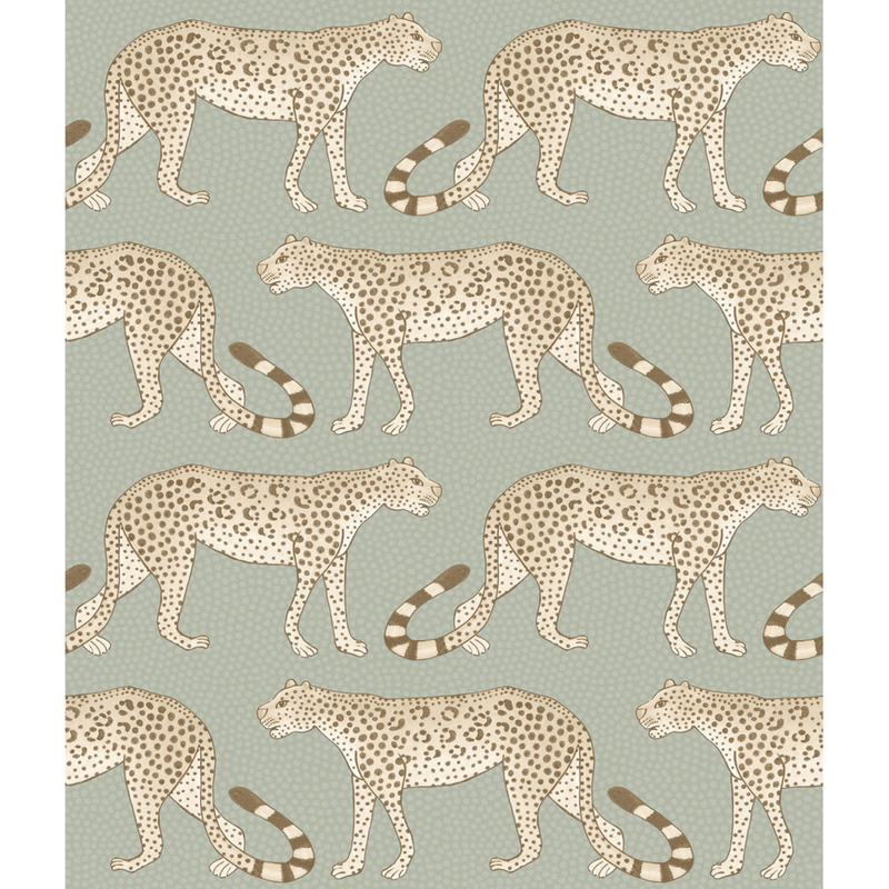 Leopard Walk