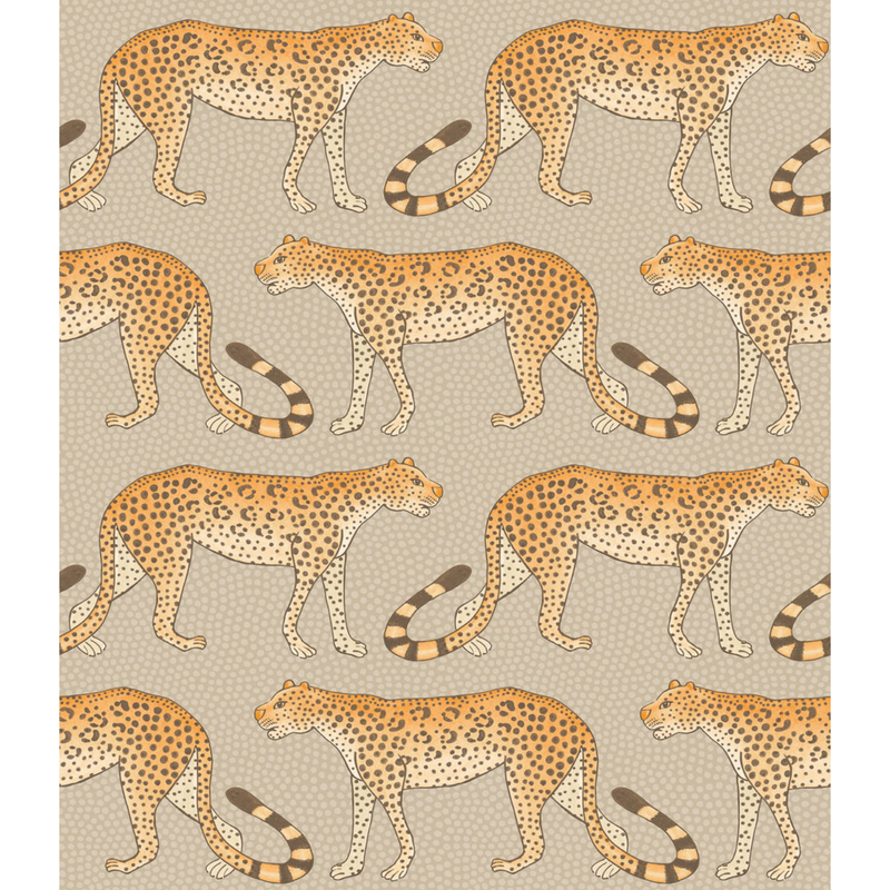 Leopard Walk