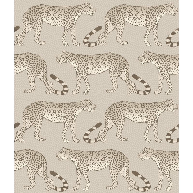Leopard Walk